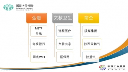 陕西广电网络集客业务百花齐放 专网专线、信息化集成与电视门户的多元发展